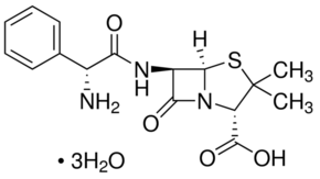 Ampicillin 3H2O