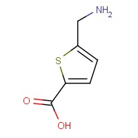 5-(Aminomethyl)thiophene-2-carboxylic acid