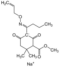 Alloxydim sodium