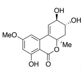 Altenuene