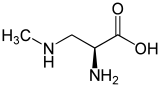 BMAA
