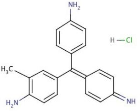 Basic fuchsin Basic violet 14hydrochloride