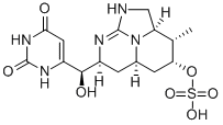 Cylindrospermopsine