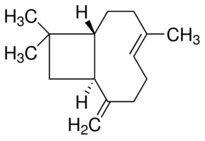 Caryophyllene beta