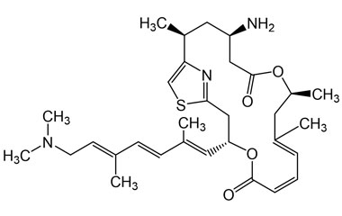 Chlorophyll Total ca. 6%