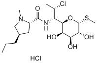 Clindamycin HCl Monohydrate