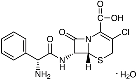 Cefaclor H2O