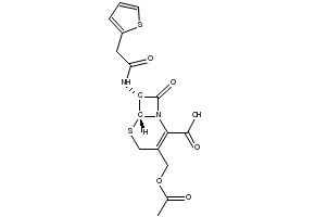 Cephalothin