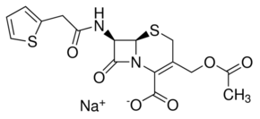 Cephalothin sodium salt