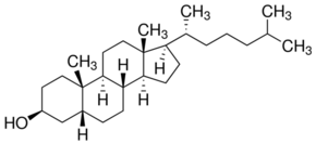 Coprostanol