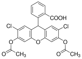 2,7-dichlorofluorescin diacetate