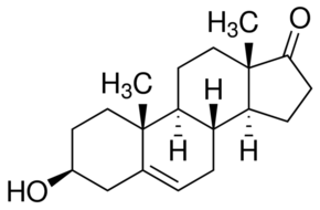 Dehydroepiandrosterone