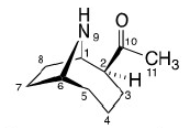 Dihydroanatoxin-a