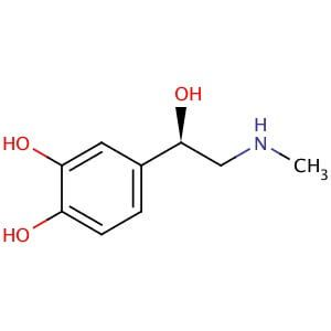 Epinephrine (-)