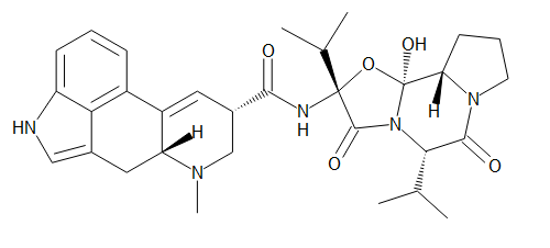 Ergocorninine