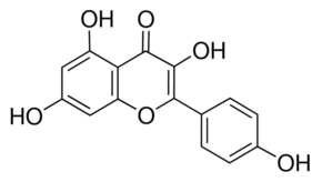 Kaempferol Hydrate