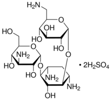 Kanamycin A disulfate salt