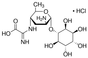 Kasugamycin HCl