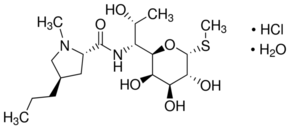 Lincomycin HCl
