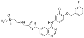 Lapatinib