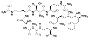 Microcystine RR