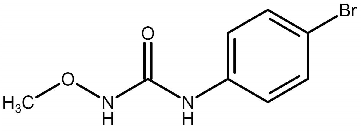 Metobromuron desmethyl
