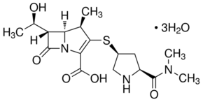 Meropenem 3H2O