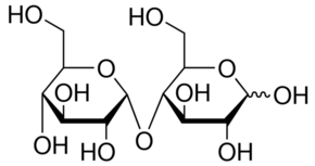 Maltose