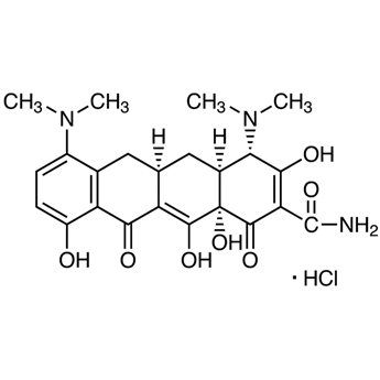 Minocycline Hydrochloride