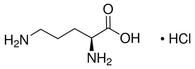 L-Ornithine HCl