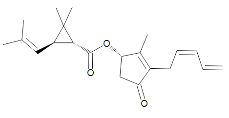 Pyrethrine 1