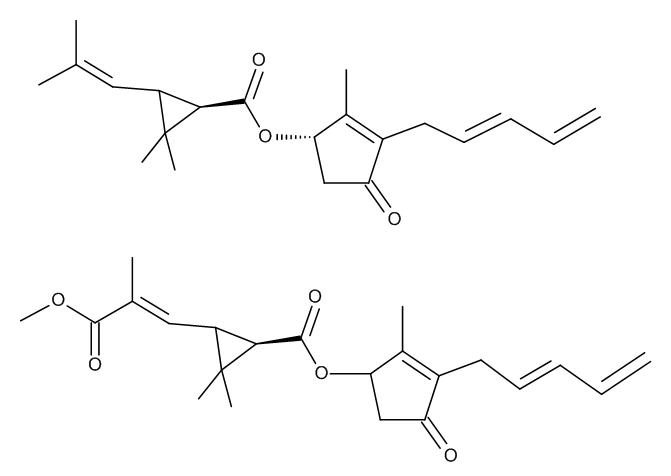 Pyrethrines (mixture major pyrethrine form 1)