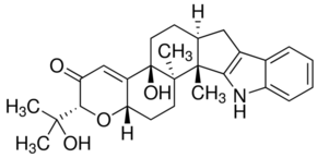 Paxillin