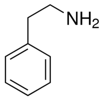Phenylethylamine-2
