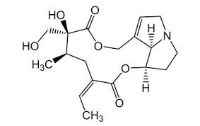 Retrorsine