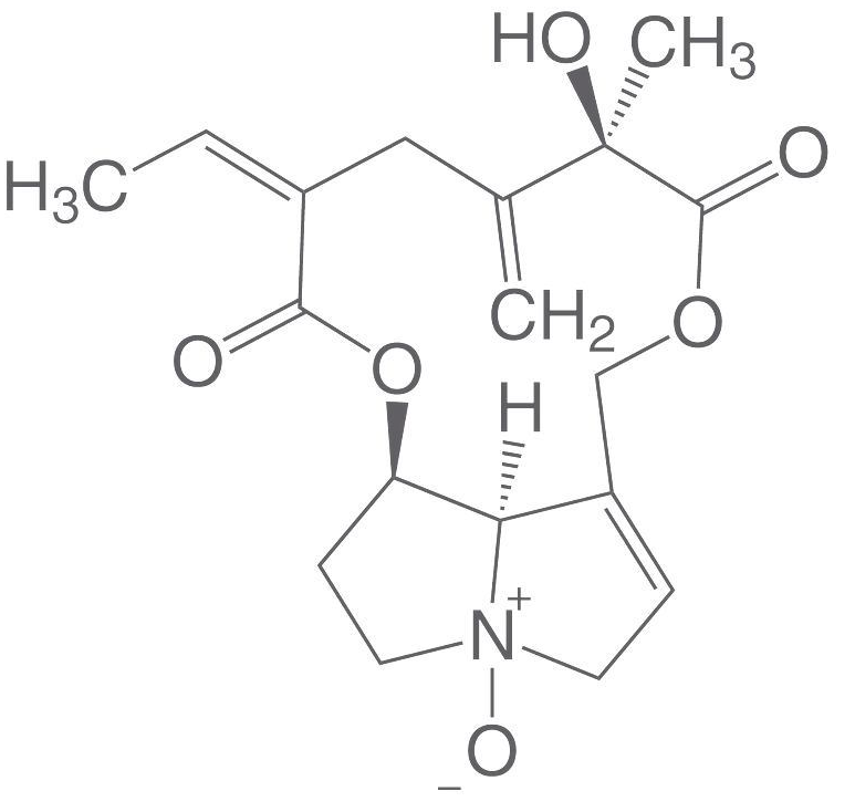 Seneciphylline N-oxide