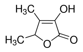 Sotolon