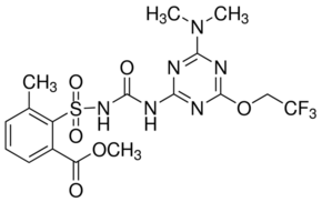 Triflusulfuron methyl