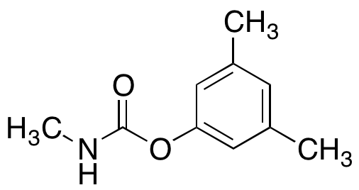 XMC